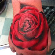 iron horse tattoo 38 photos tattoo 3544 youree dr iron horse tattoo 38 photos tattoo 3544 youree dr