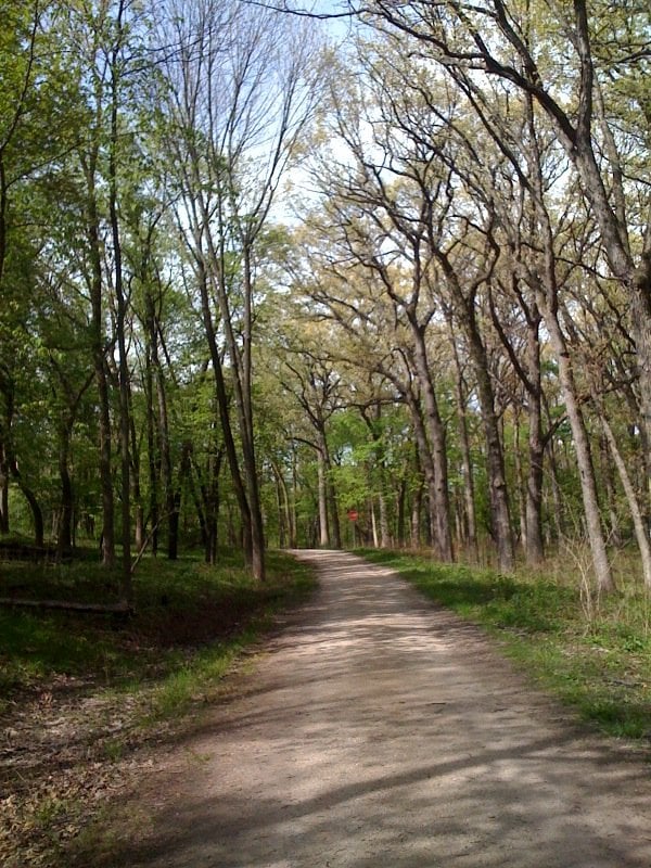 Fullersburg Woods Nature Education Center Oak Brook Il Fullersburg Woods Nature Education Center Oak Brook Il