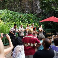 Photo Of Smiths Fern Grotto Tour