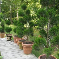 Plant Le Bacle Horticultural Design 15 Photos Nurseries Photo Of Plant Le Bacle Horticultural Design New York Ny United States