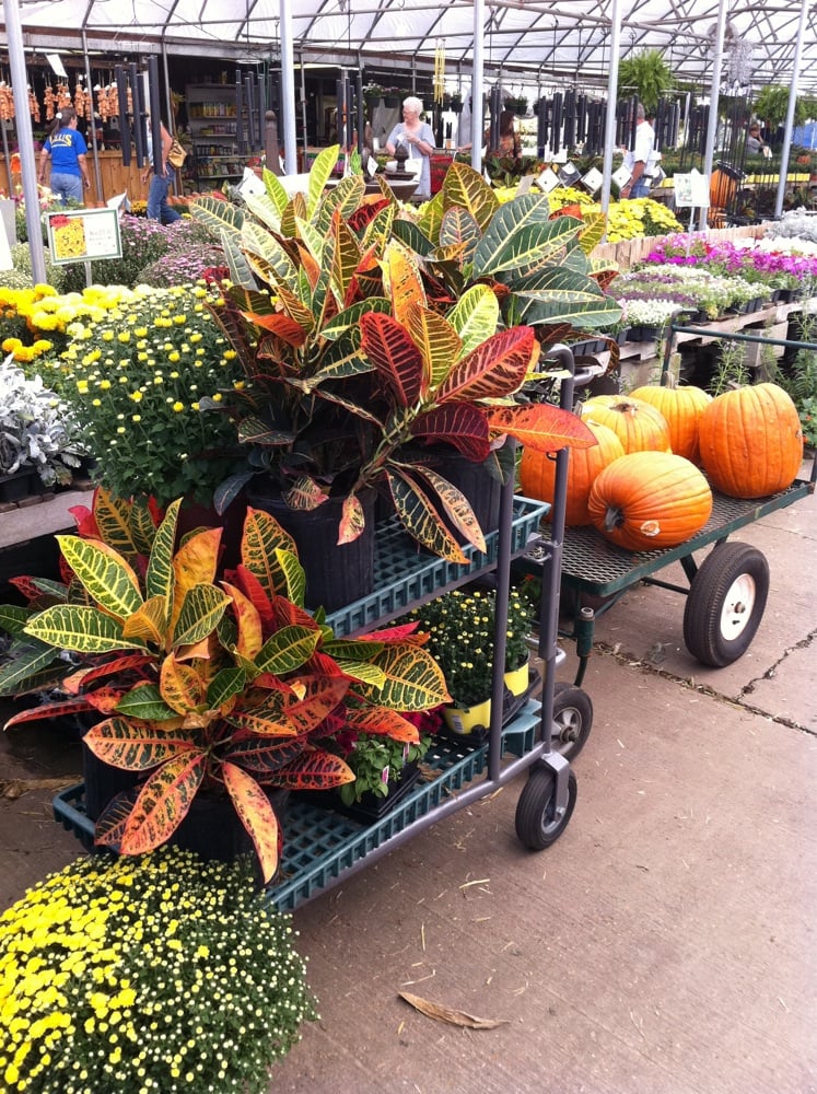 image of business Ellis Pottery