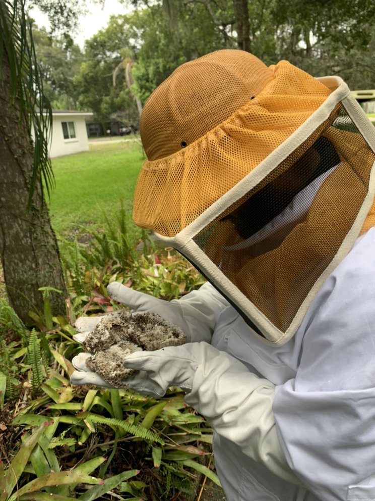 Taps Pest Services