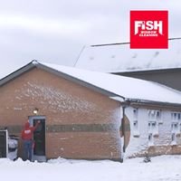 Fish Window Cleaning