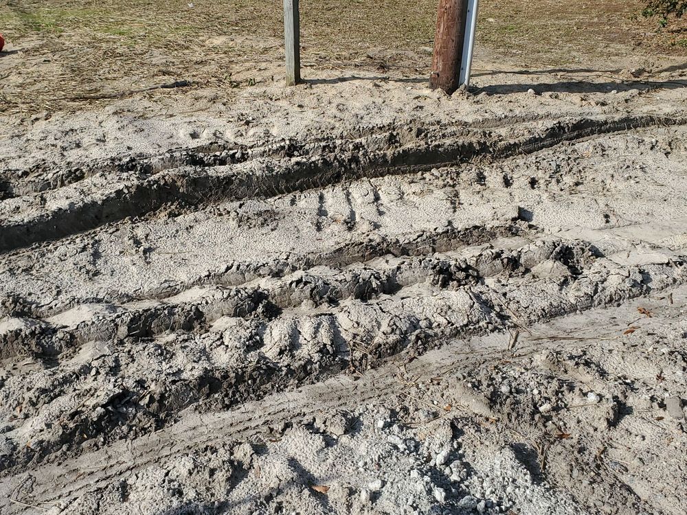 Seagate Tree Service