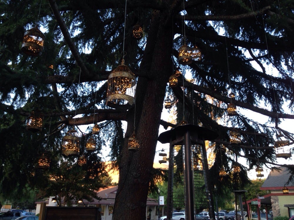 Skipolini’s Pizza 50 Photos & 147 Reviews Pizza 1033 Diablo St