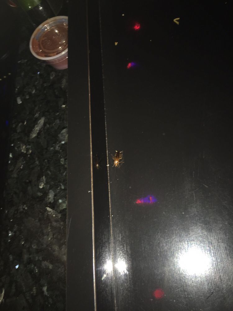 O
