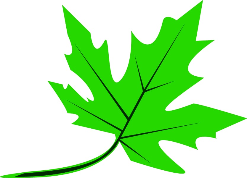 JRS Landscaping