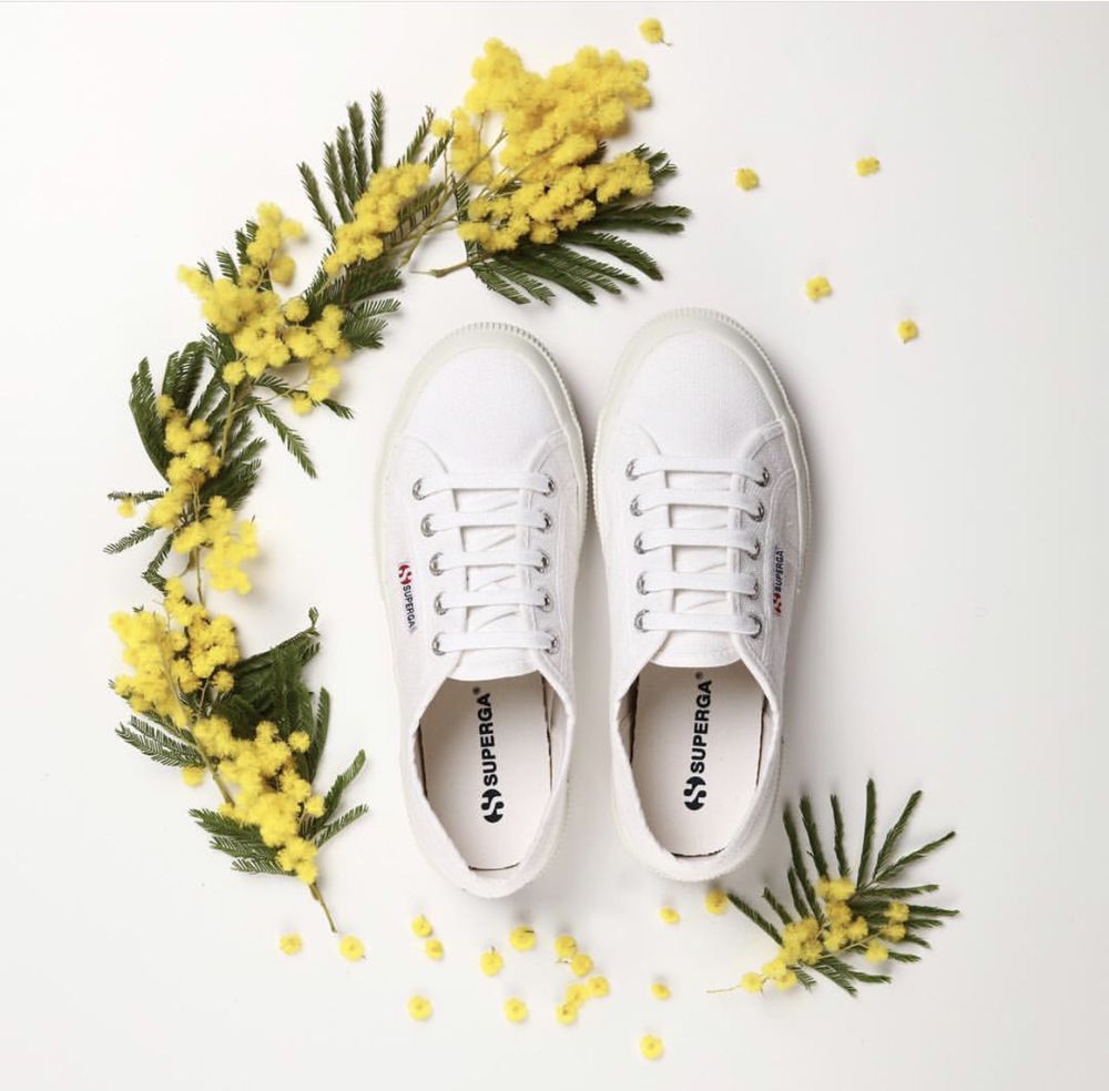 superga store near me