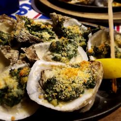 Siesta Key Oyster Bar 870 Photos 858 Reviews Seafood 5238 Photo Of Siesta Key Oyster Bar Sarasota Fl United States