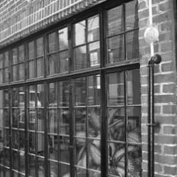 John W Wolf, DDS - New York, NY, United States