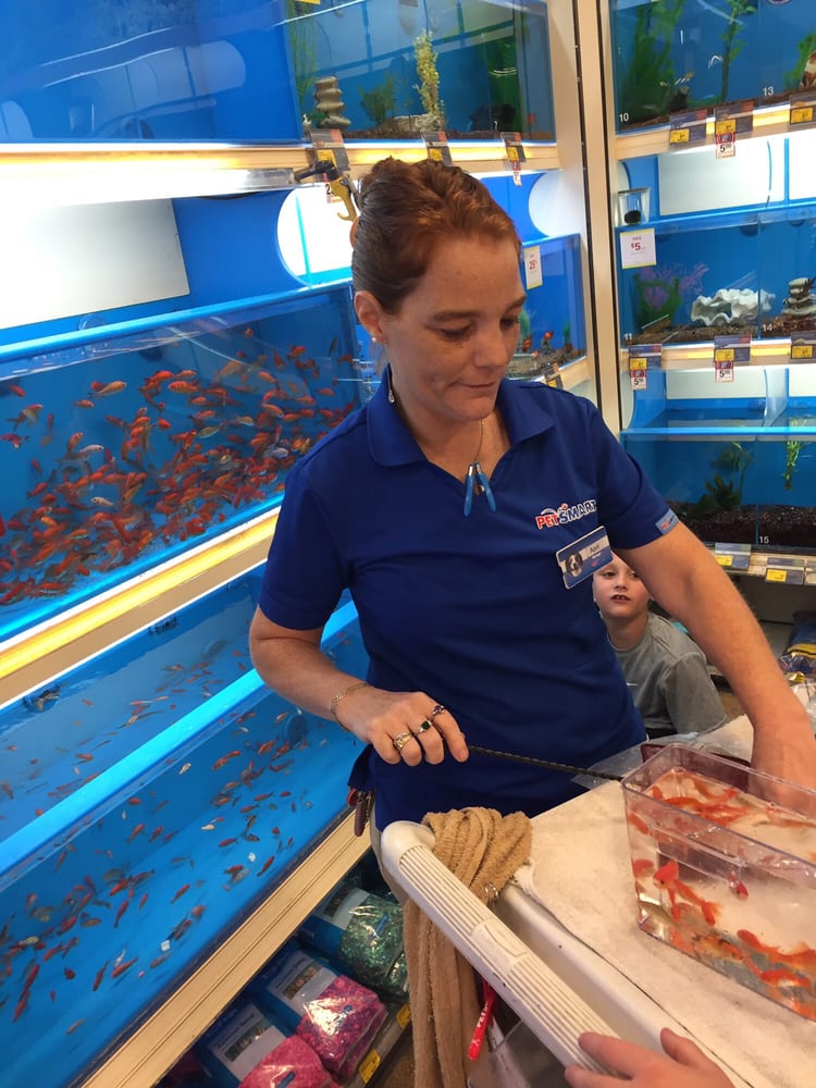 PetSmart Pet Stores 4056 Atlanta Hwy, Loganville, GA Phone Number