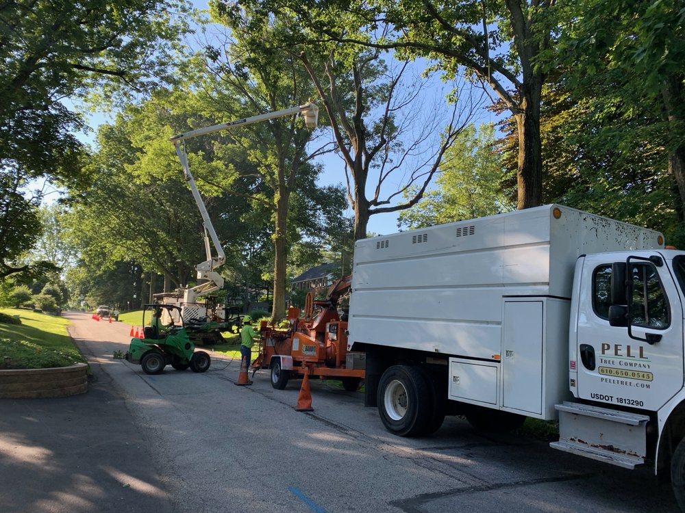 Pell Tree Company