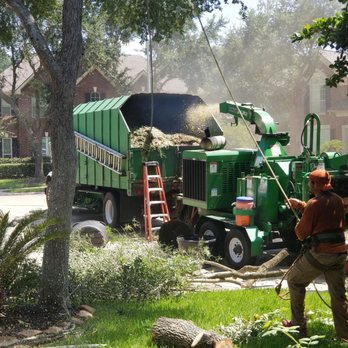 Aim S Tree Service Services 6420 Richmond Ave Houston Tx Photo Of Aim S Tree Service Houston Tx United States