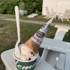 Clementine's Homemade Ice Cream gift card