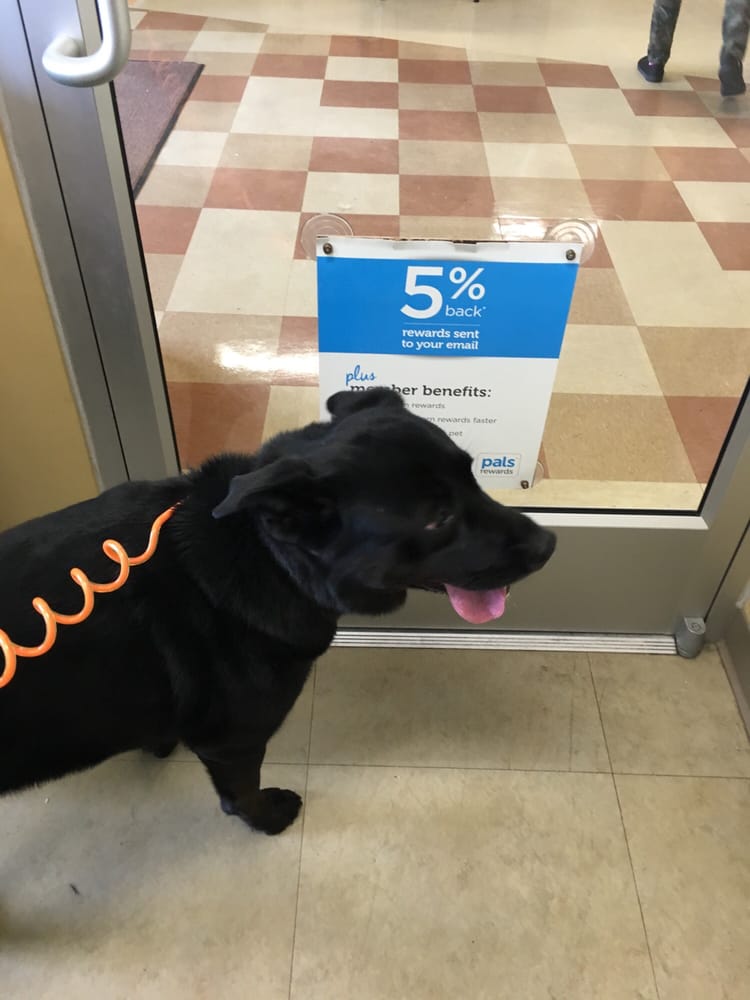 Petco Pet Stores 9700 Midlothian Turnpike, Richmond, VA Phone