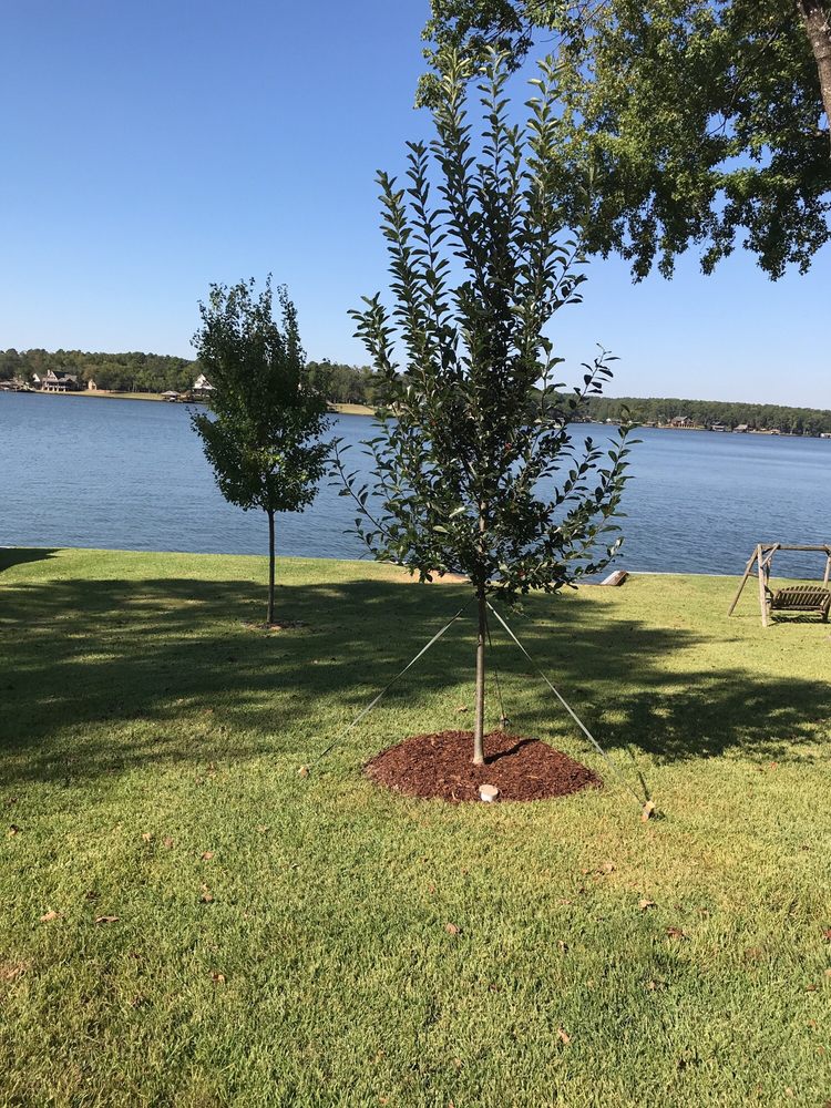 Breedlove Nursery & Landscape Nurseries & Gardening 11576 TX64