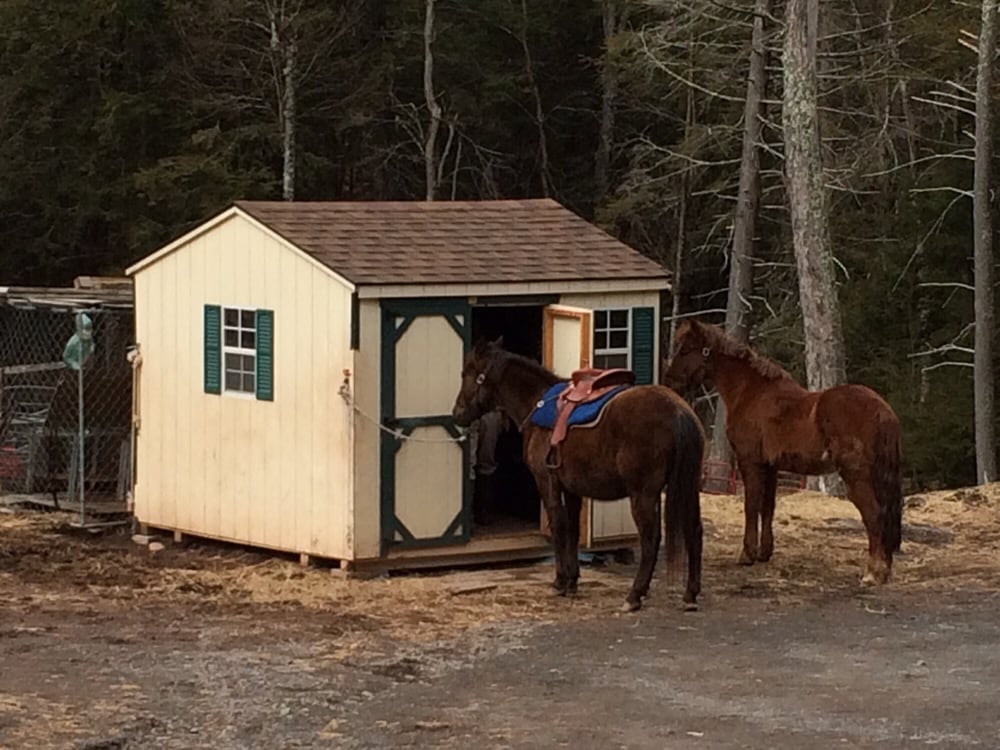 Black Dome Guide And Rough Riders Ranch 59 Photos & 31 Reviews