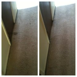 Carpet Restretching Estimate Bubbles Ripples Carpet Rug Hardwood Upholstery And Tile Cleaning Barrington Il