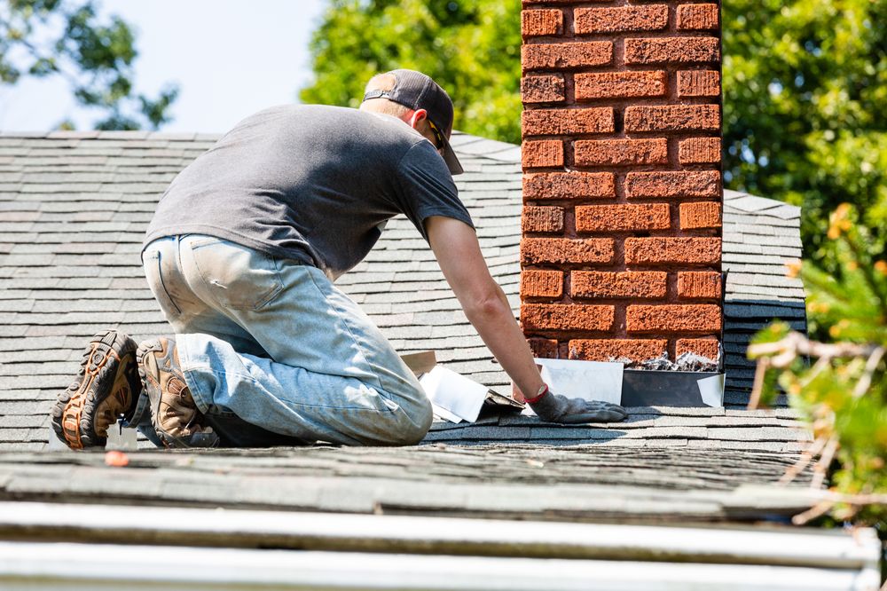 image of business Lobo Builders