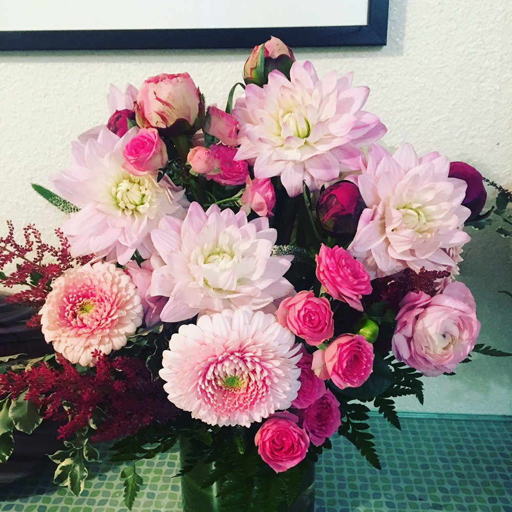 Garden Roses Vs Peonies - zdojk-ouk