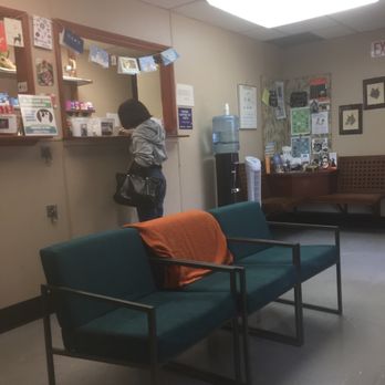 Best Cat Vets In Los Angeles Best Cat Vets In Los Angeles