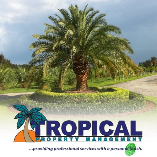 Tropical Property Management