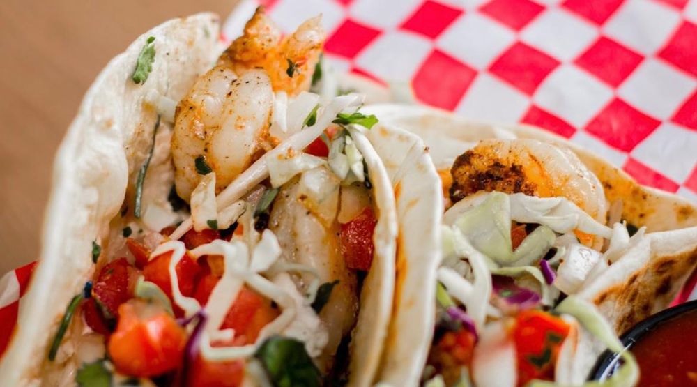 Dog and Duck Dog and Duck