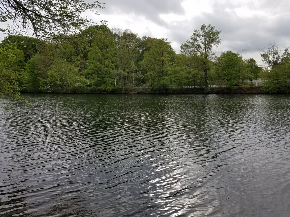 Horseshoe Lake Park 52 Photos Recreation Centers 72 Eyland Ave