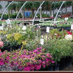 Kasch S Garden Centers Nurseries Closed Gardening Photo Of Kasch S Garden Centers Nurseries Portland Or United States Mcloughlin