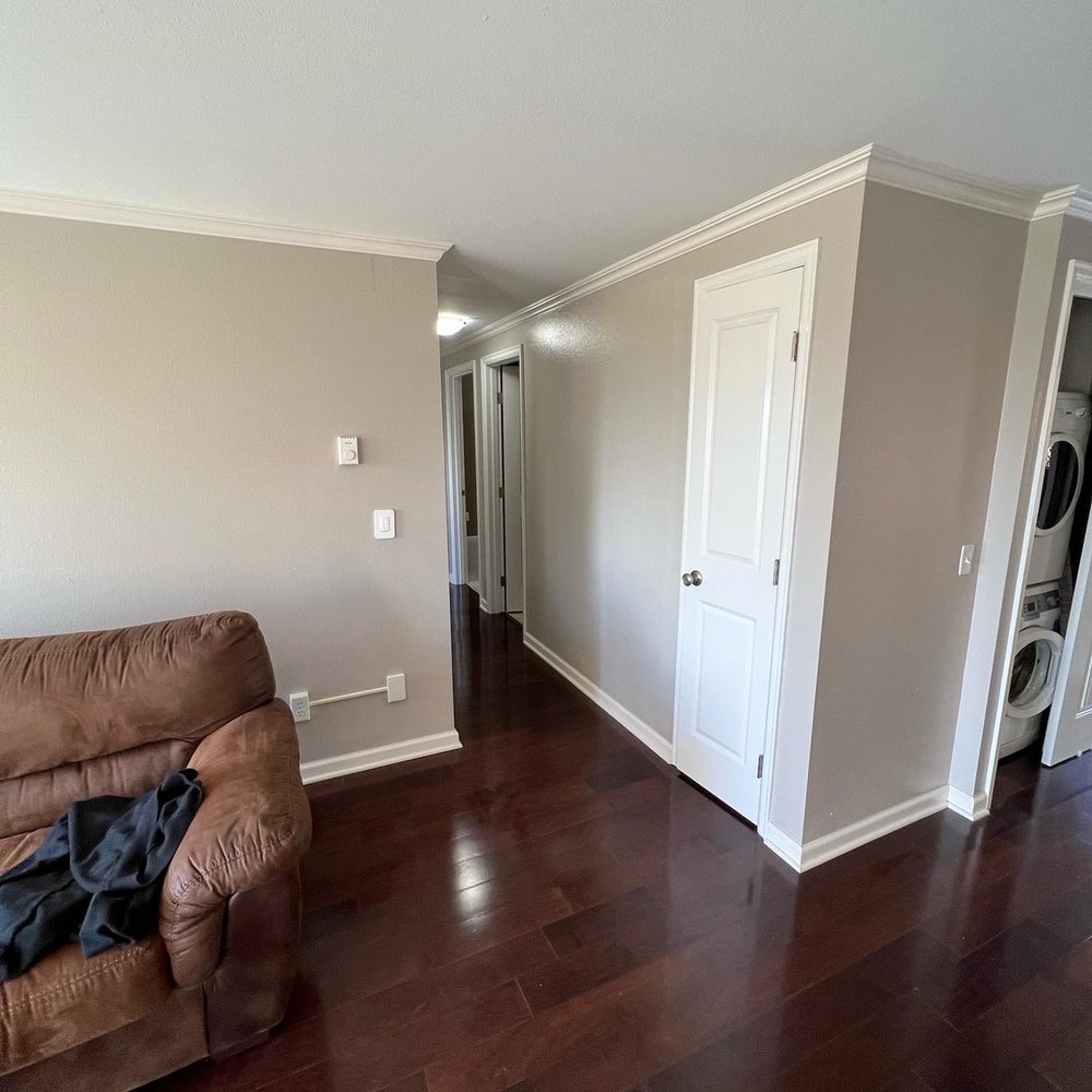 Impact Painting Services