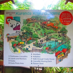 Kuranda Koala Gardens 21 Photos 12 Reviews Zoos Photo Of Kuranda Koala Gardens Queensland Australia Map