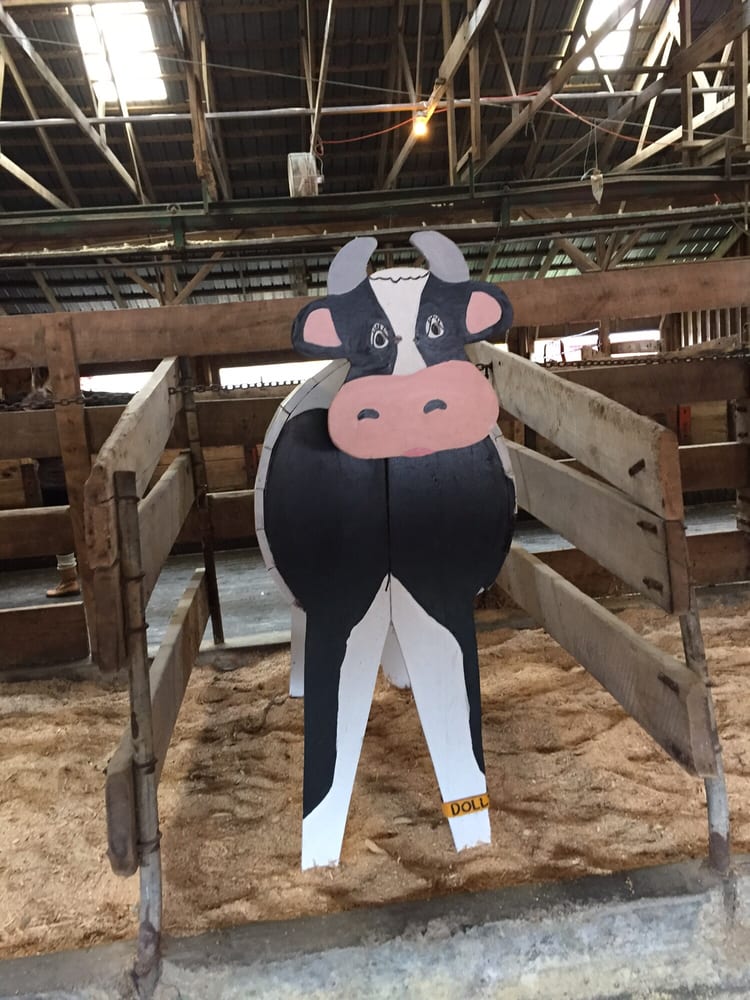 Ioka Valley Farm 30 Photos & 17 Reviews Christmas Trees 3475 Rt