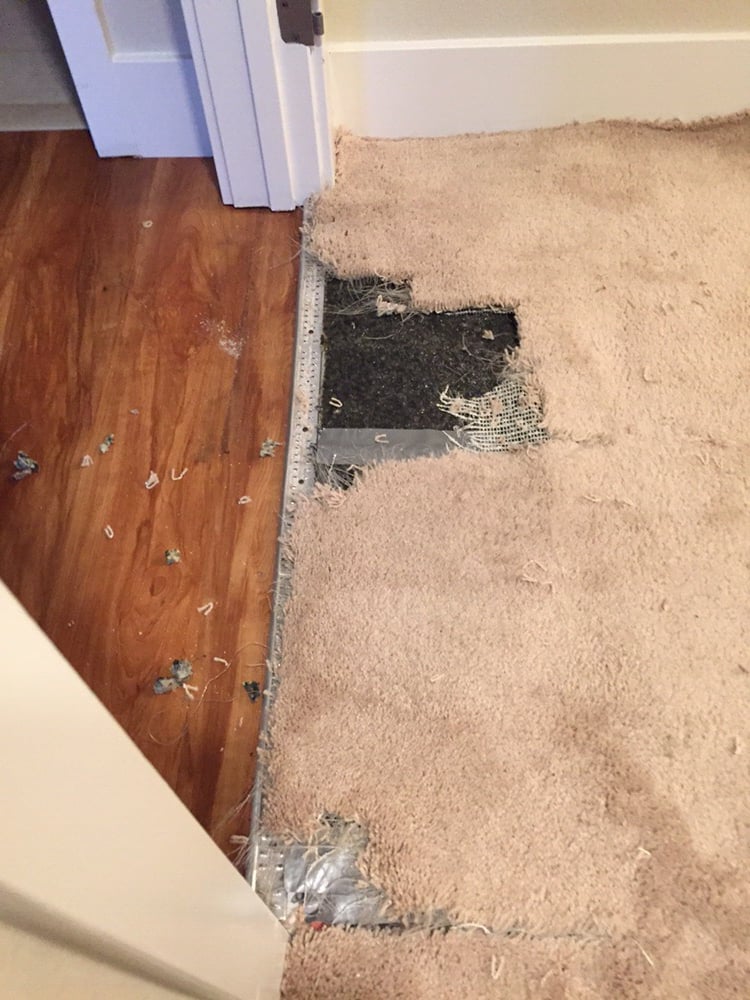 Dog dug & torn carpet - Yelp