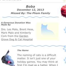 garden grove and cat hospital photos for garden grove cat hospital yelp garden grove and cat hospital photos for garden grove cat hospital yelp