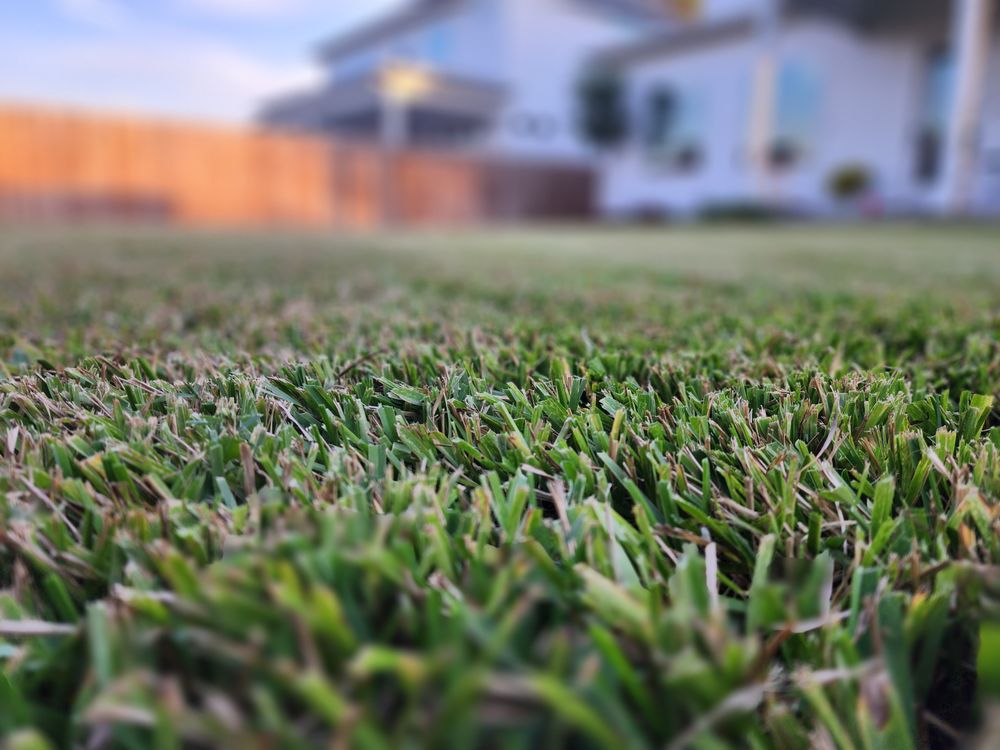 Living With Soil Landscaping