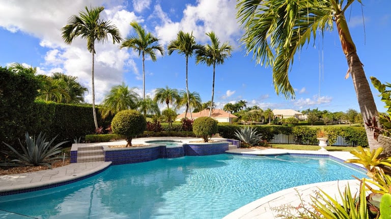 image of business The Swimming Hole