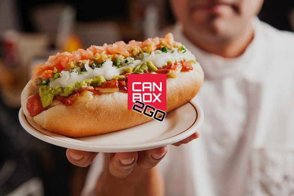 CanBox 2Go