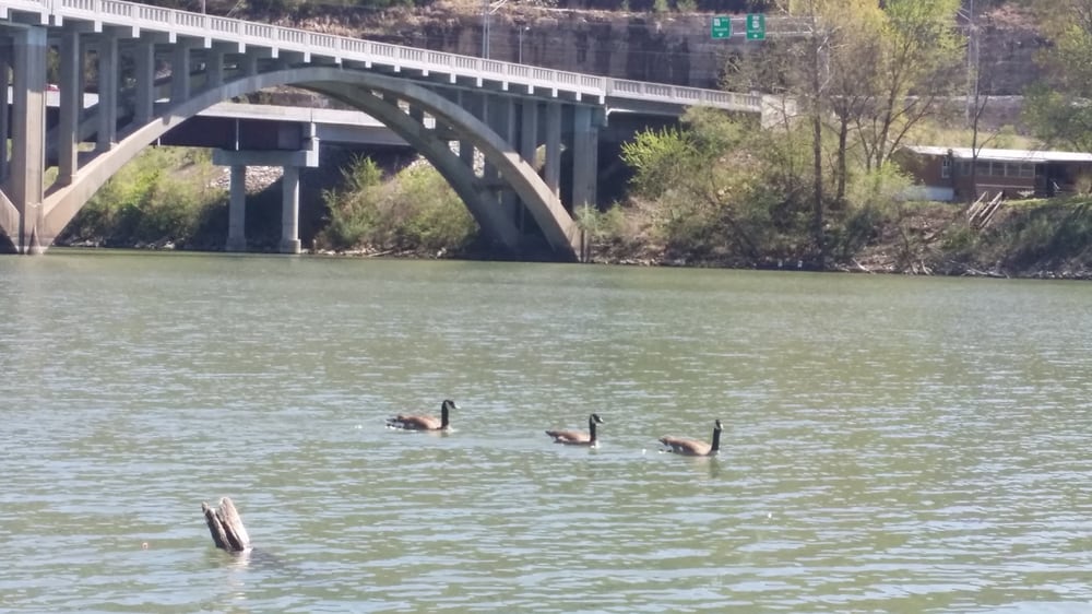 Photo of Scotty's Trout Dock