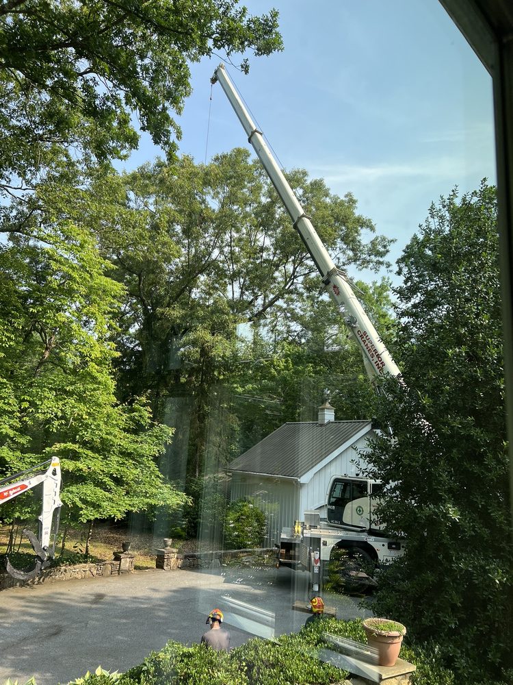 Epperson Tree Service