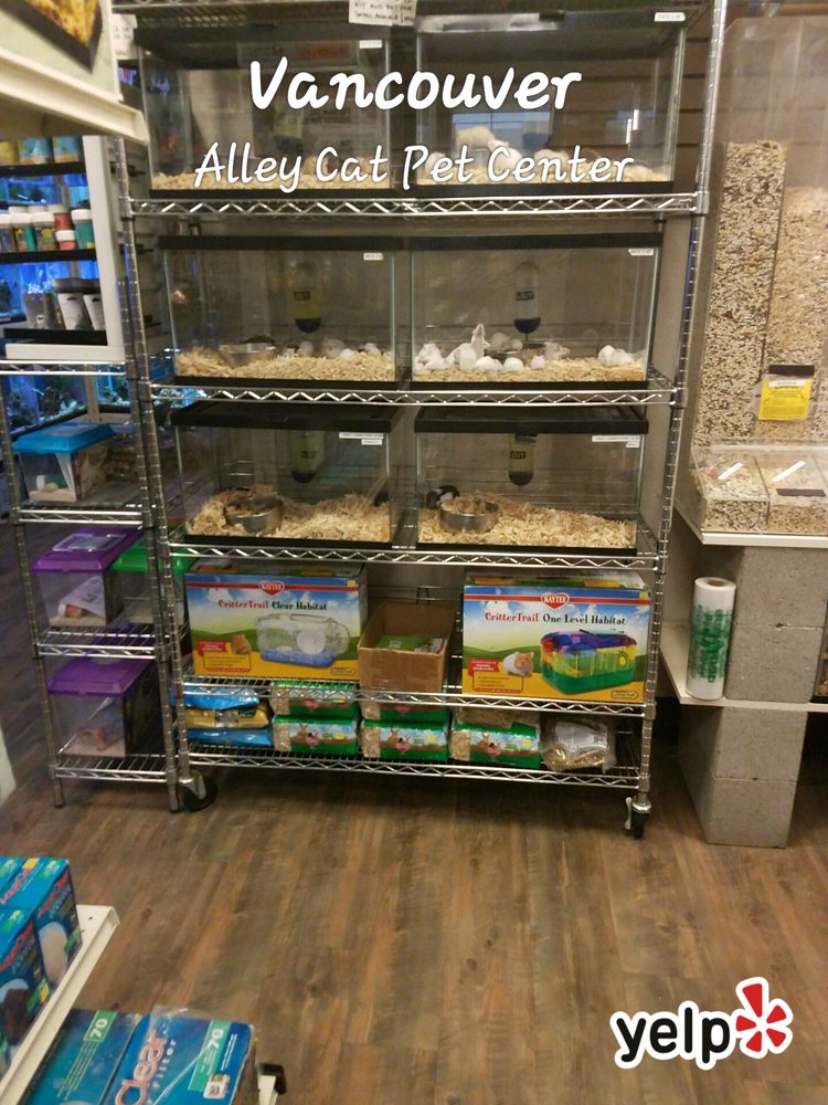 Alley Cat Pet Center