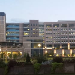 MD Anderson Cancer Center Hospitals - Ls 