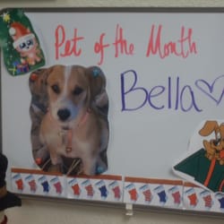 Wondeful My Pets Animal Hospital Reviews Photos