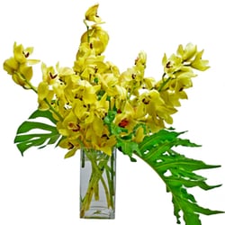 Orchid Tropics Nurseries Gardening 1101 S Rogers Cir Boca Orchid Tropics Nurseries Gardening 1101 S Rogers Cir Boca Raton Fl Phone Number Last Updated December 11 2018 Yelp