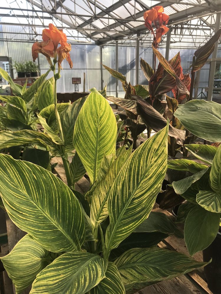 Milwaukie Floral and Garden