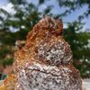 Artisan Boulanger Patissier