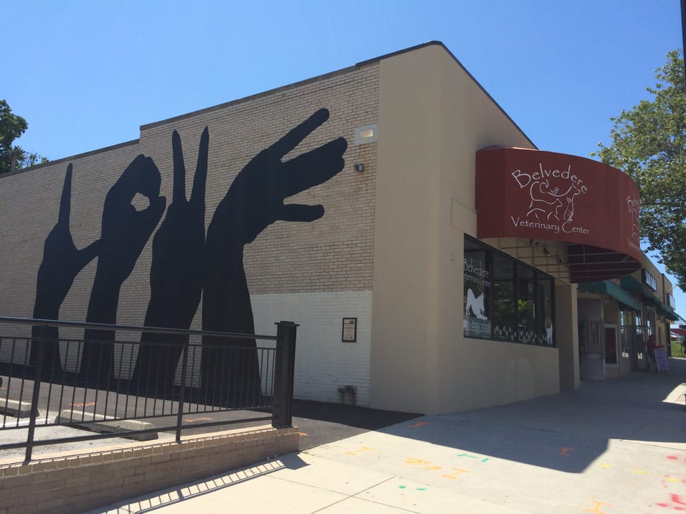 Belvedere Veterinary Center 16 Photos & 17 Reviews Veterinarians