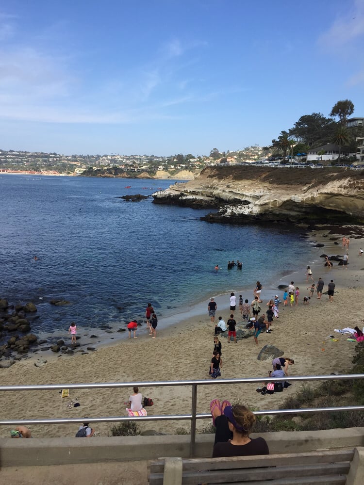 Shell Beach 54 Photos & 20 Reviews Beach Coast Blvd San Diego