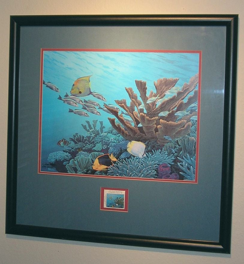 Matting And Framing Of Underwater Artwork Done At Michael S Yelp Photo Of Michaels Carrollwood Fl United States Matting And Framing Underwater