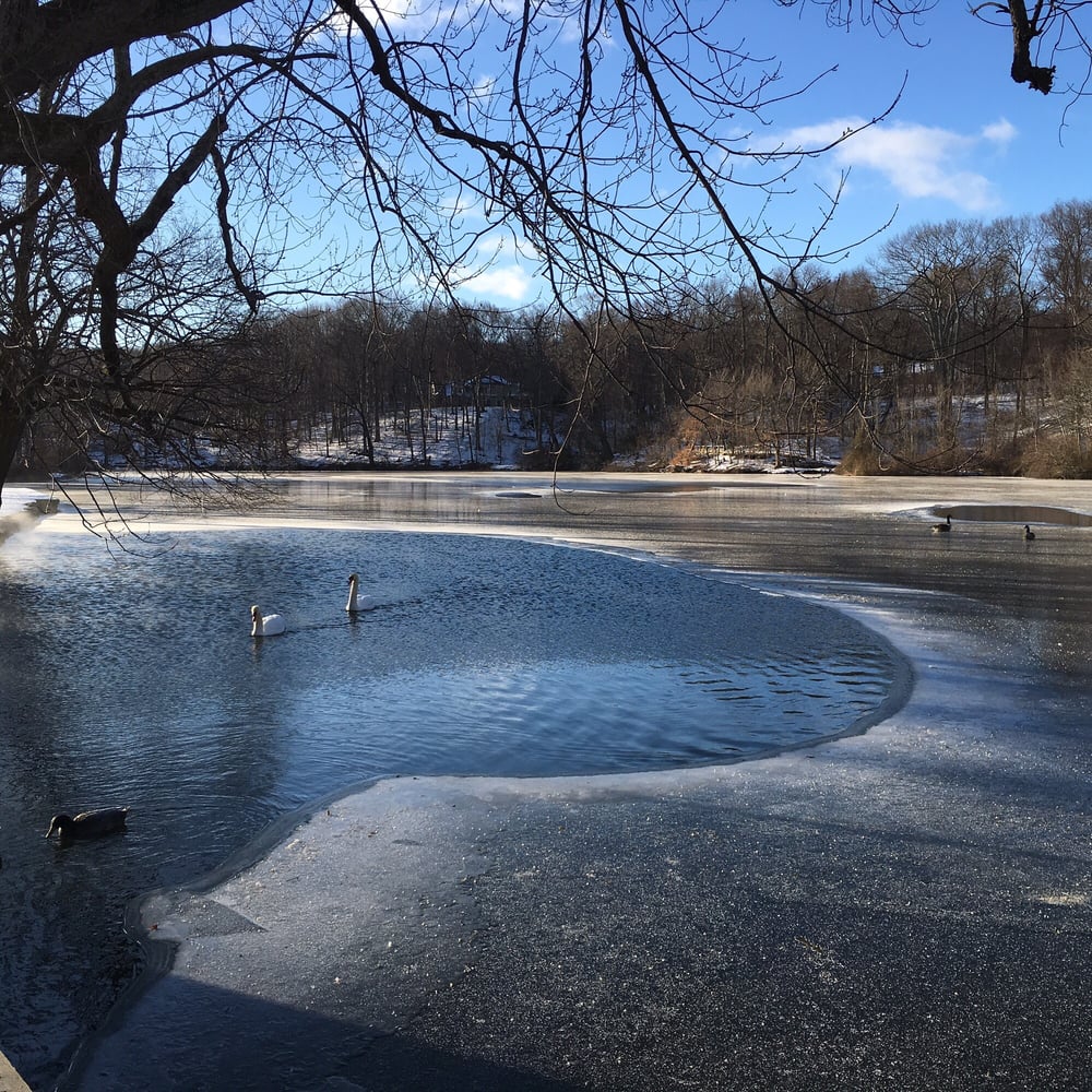 Avalon Park & Preserve 138 Photos & 39 Reviews Parks 200 Harbor