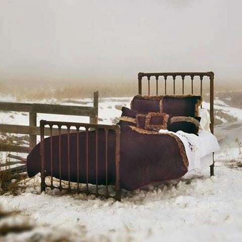 Cathouse Antique Iron Beds
